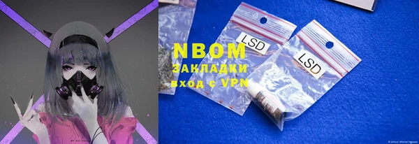 ПСИЛОЦИБИНОВЫЕ ГРИБЫ Валдай