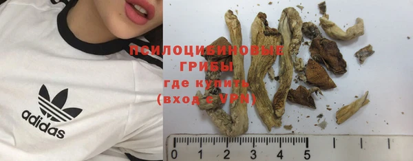 ПСИЛОЦИБИНОВЫЕ ГРИБЫ Валдай