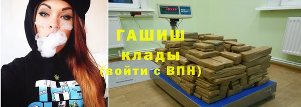 шишки Абаза