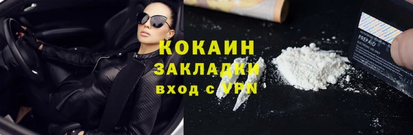 шишки Абаза