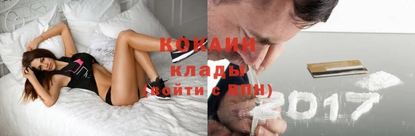 шишки Абаза