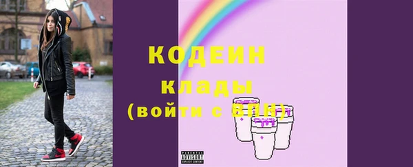 шишки Абаза
