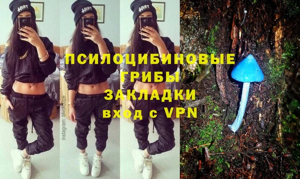 шишки Абаза