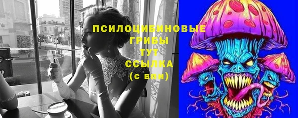 шишки Абаза