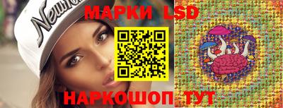 ешки Ставрополь