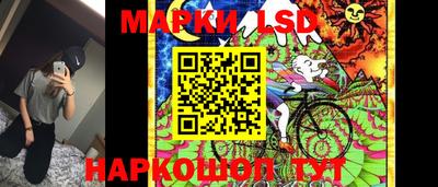ешки Ставрополь