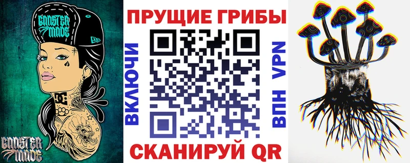 купить наркотики сайты  Отрадный  Псилоцибиновые грибы Psilocybe 
