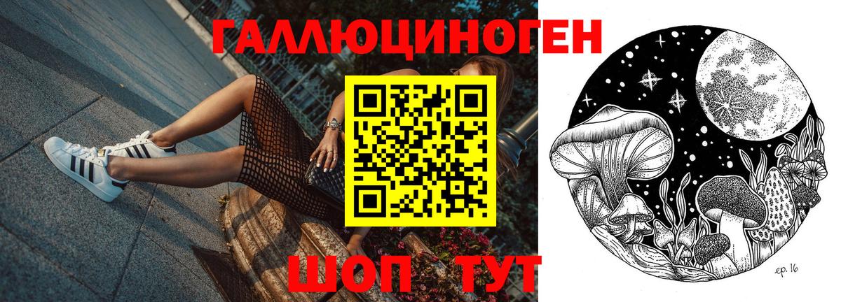 Галлюциногенные грибы Cubensis Отрадный