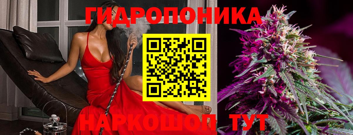 Шишки марихуана OG Kush Отрадный
